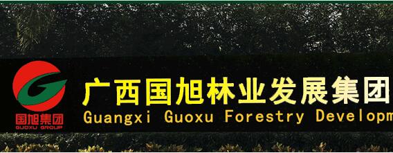 广西国旭林业发展集团股份有限公司