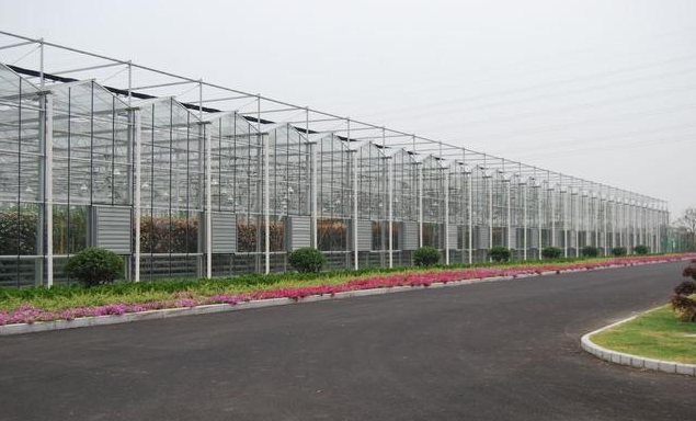 承接拉萨玻璃智能温室大棚自动化育苗温室大棚日光温室大棚